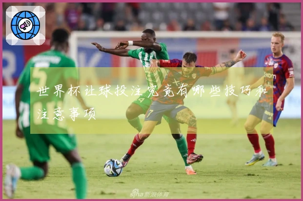 世界杯让球投注究竟有哪些技巧和注意事项