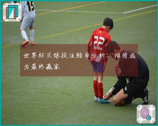 世界杯买球投注赔率分析：谁将成为最终赢家