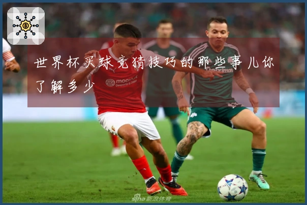 世界杯买球竞猜技巧的那些事儿你了解多少