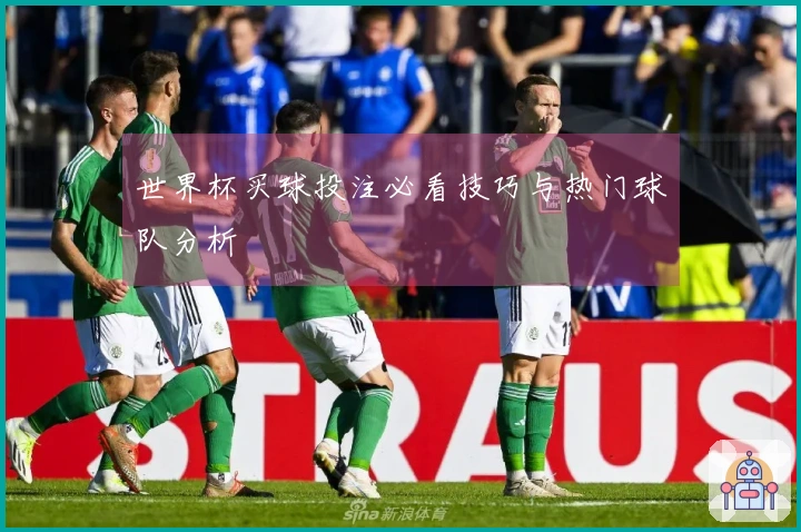 世界杯买球投注必看技巧与热门球队分析