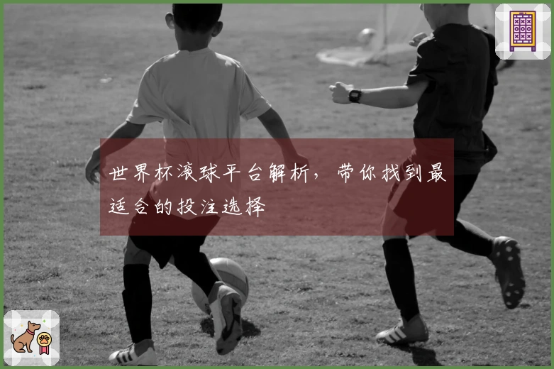 世界杯滚球平台解析，带你找到最适合的投注选择