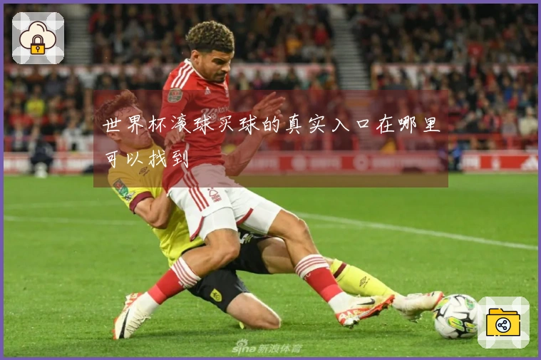 世界杯滚球买球的真实入口在哪里可以找到
