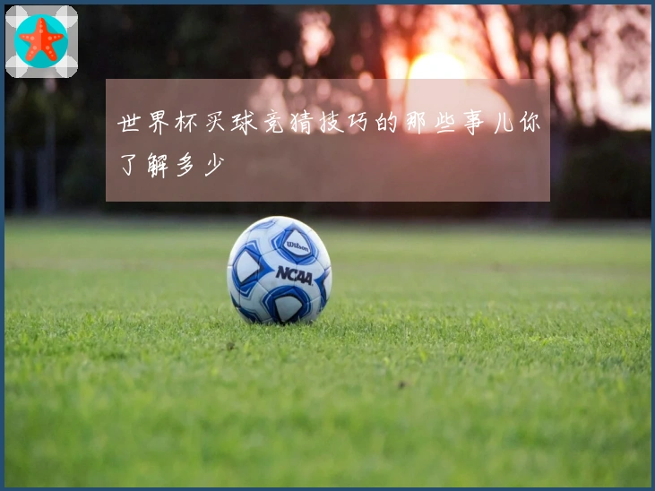 世界杯买球竞猜技巧的那些事儿你了解多少