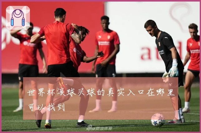 世界杯滚球买球的真实入口在哪里可以找到