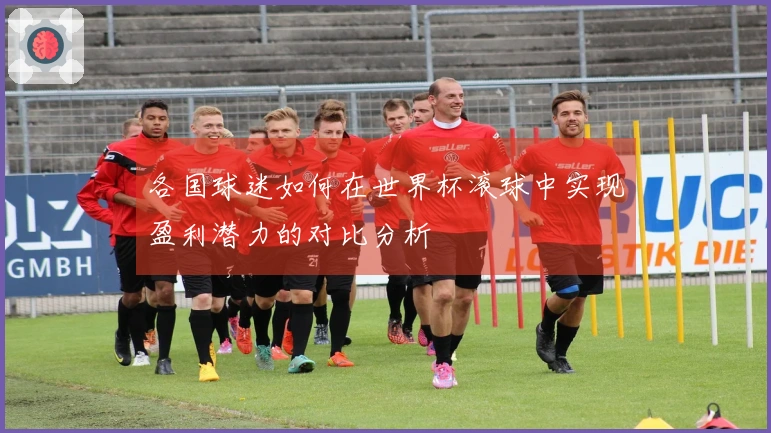 各国球迷如何在世界杯滚球中实现盈利潜力的对比分析