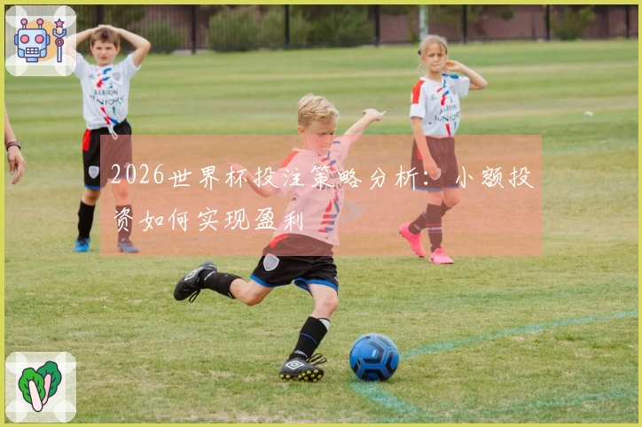 2026世界杯投注策略分析：小额投资如何实现盈利