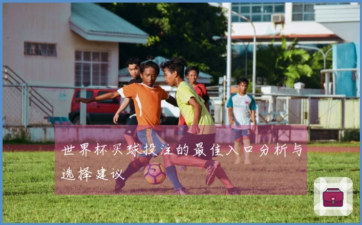 世界杯买球投注的最佳入口分析与选择建议