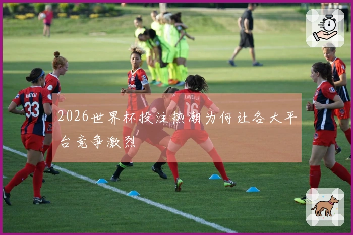 2026世界杯投注热潮为何让各大平台竞争激烈
