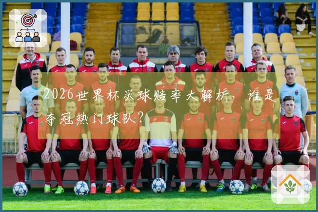 2026世界杯买球赔率大解析，谁是夺冠热门球队？