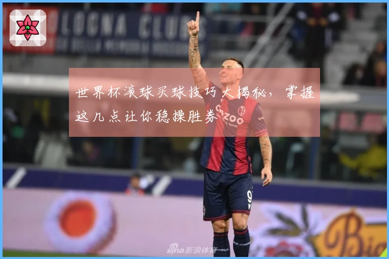 世界杯滚球买球技巧大揭秘，掌握这几点让你稳操胜券
