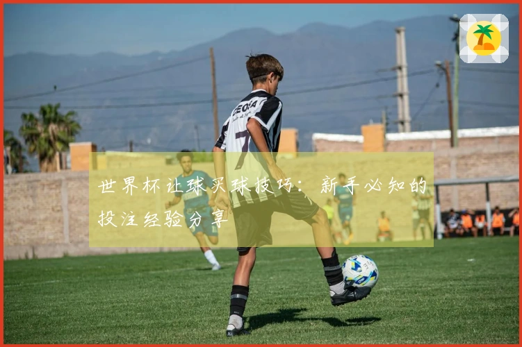 世界杯让球买球技巧：新手必知的投注经验分享
