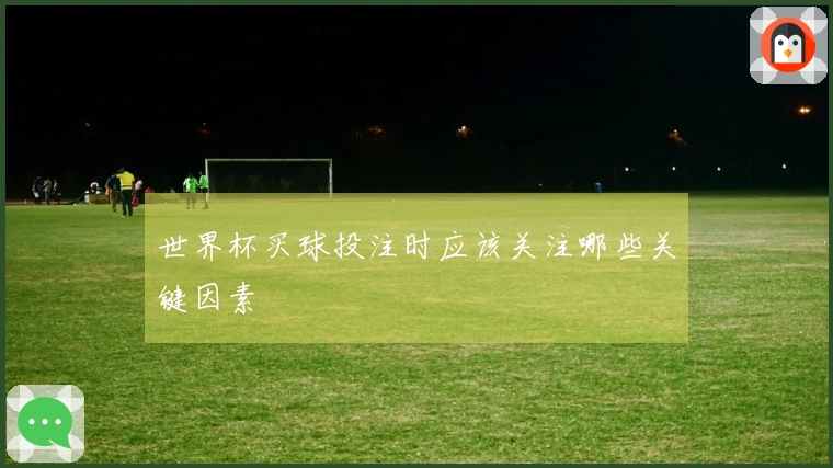 世界杯买球投注时应该关注哪些关键因素