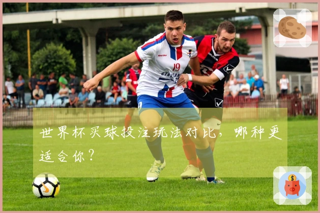 世界杯买球投注玩法对比，哪种更适合你？