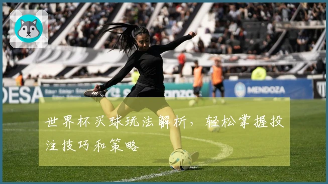 世界杯买球玩法解析，轻松掌握投注技巧和策略