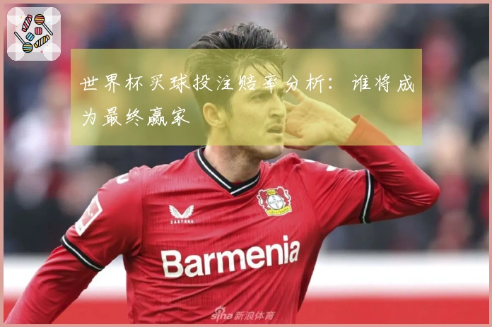 世界杯买球投注赔率分析：谁将成为最终赢家
