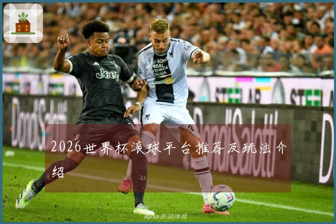 2026世界杯滚球平台推荐及玩法介绍