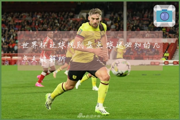 世界杯让球规则盘点 球迷必知的几点关键解析