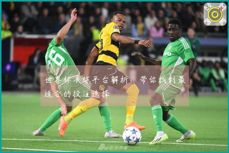 世界杯滚球平台解析，带你找到最适合的投注选择