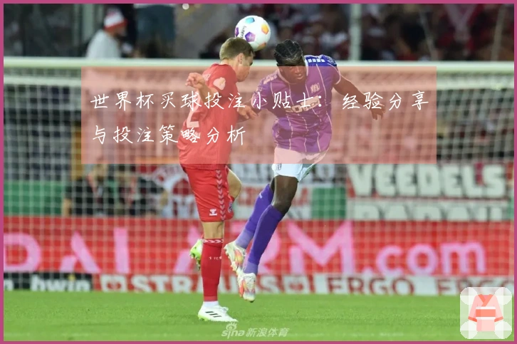 世界杯买球投注小贴士：经验分享与投注策略分析