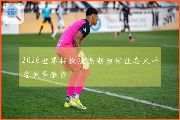2026世界杯投注热潮为何让各大平台竞争激烈
