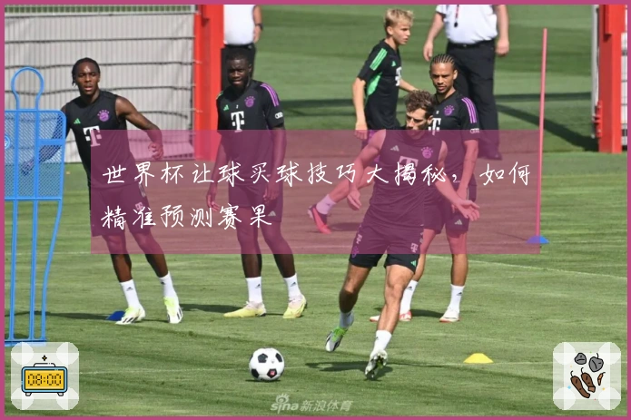 世界杯让球买球技巧大揭秘，如何精准预测赛果